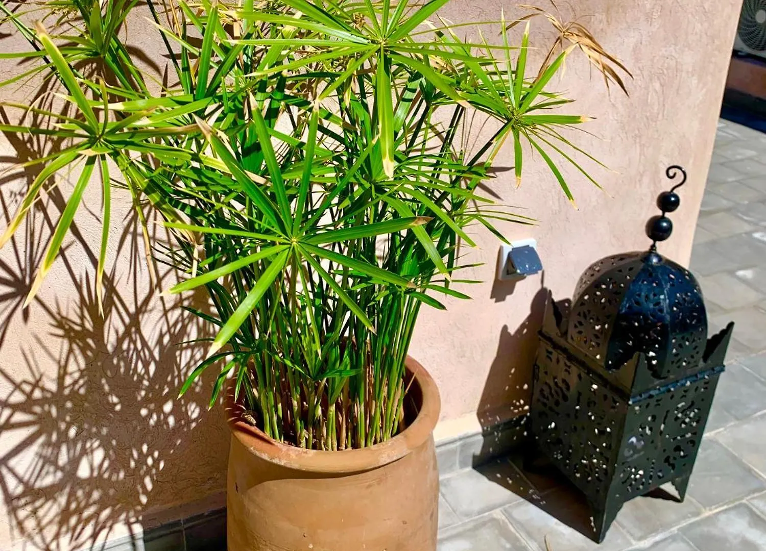 Villa Riad Rosita 4 Chambres Marrakesh